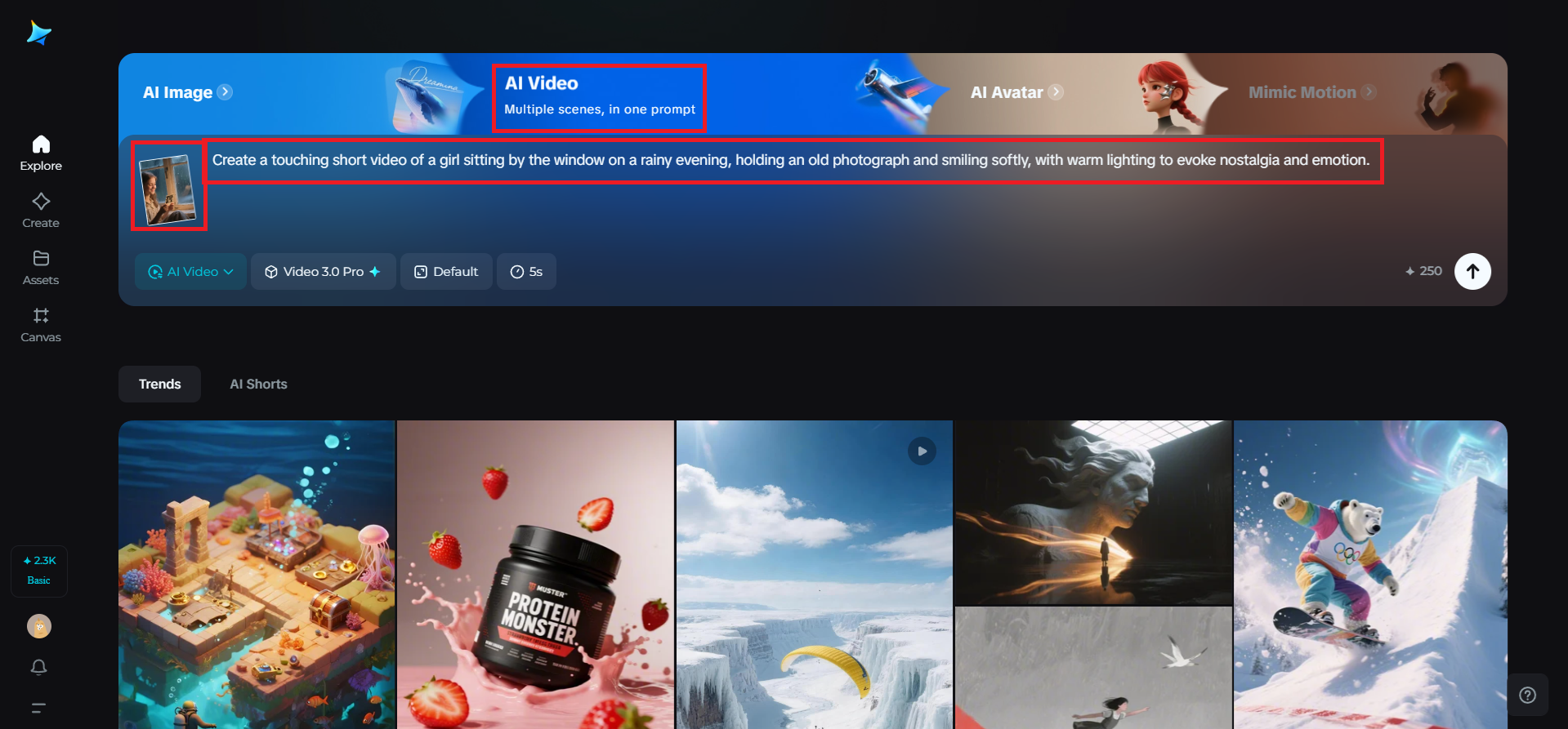 Write prompt & put reference image