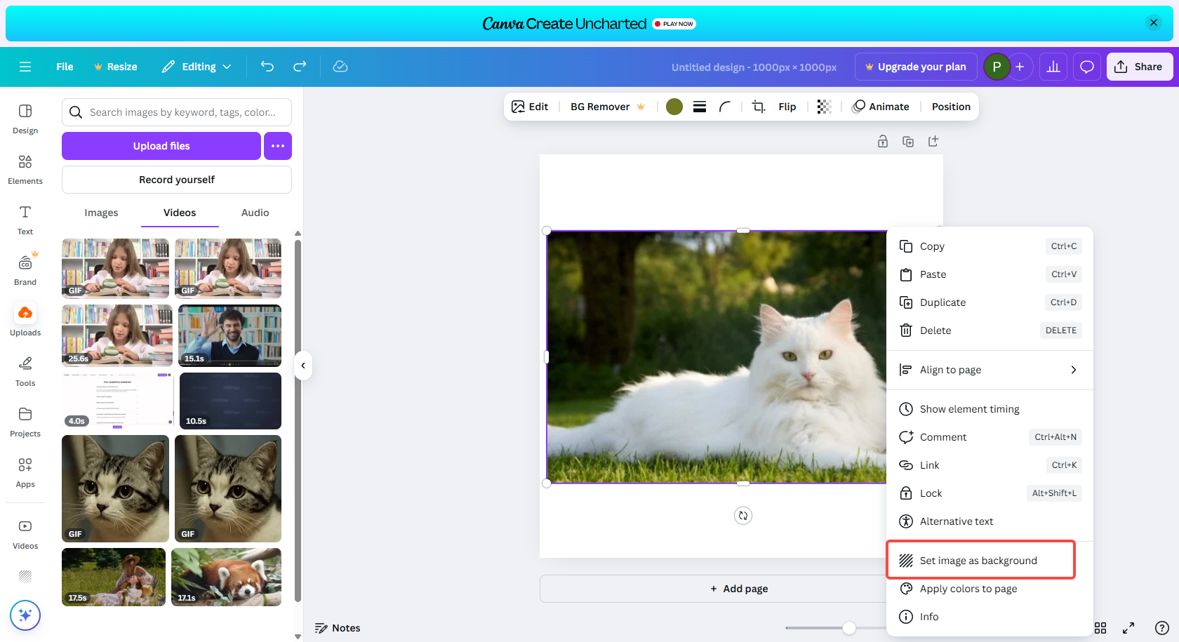 Ajuste del tamaño de la imagen