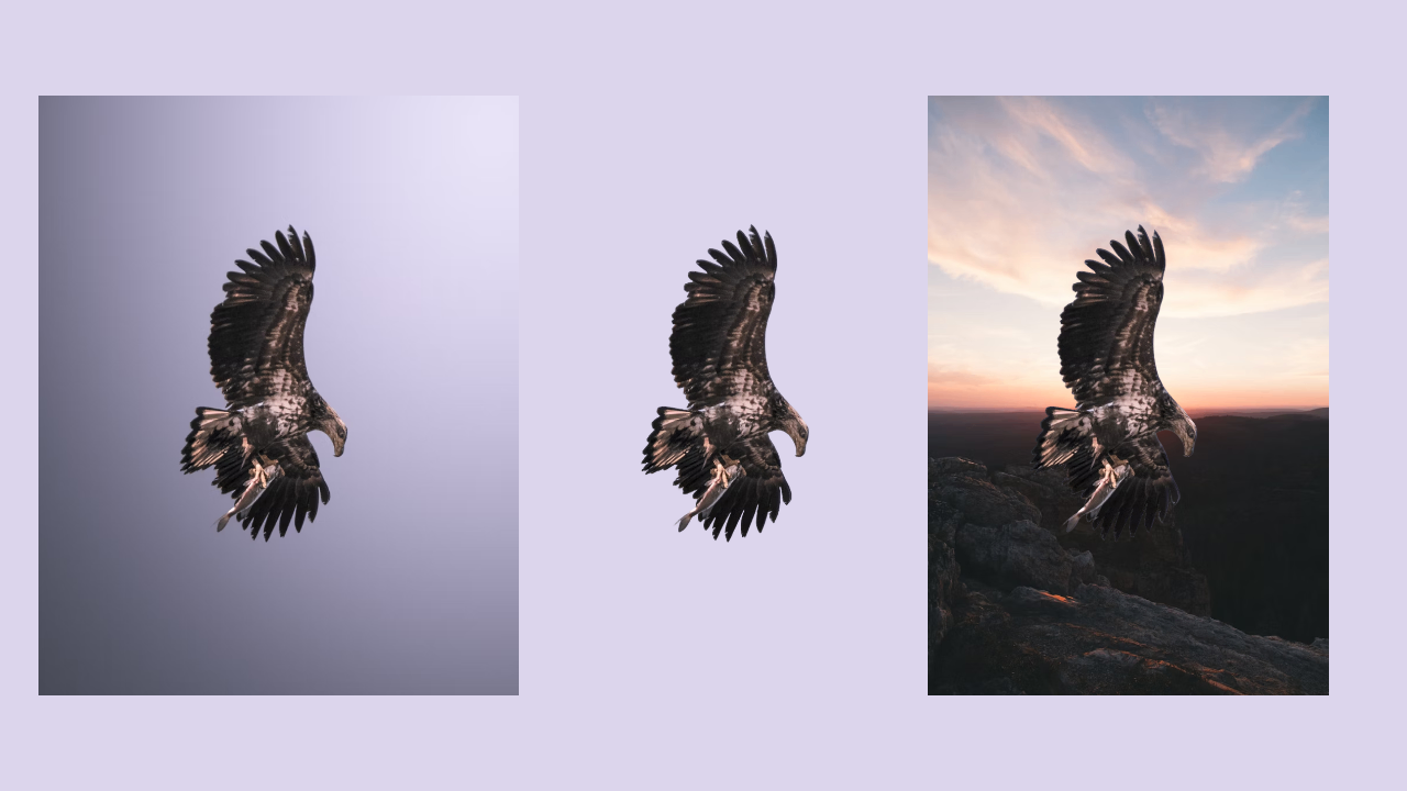 Key factors of a great cut-and-paste photo app