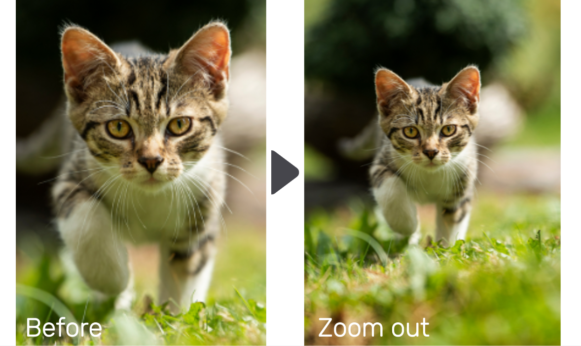 Zoom-out shoot