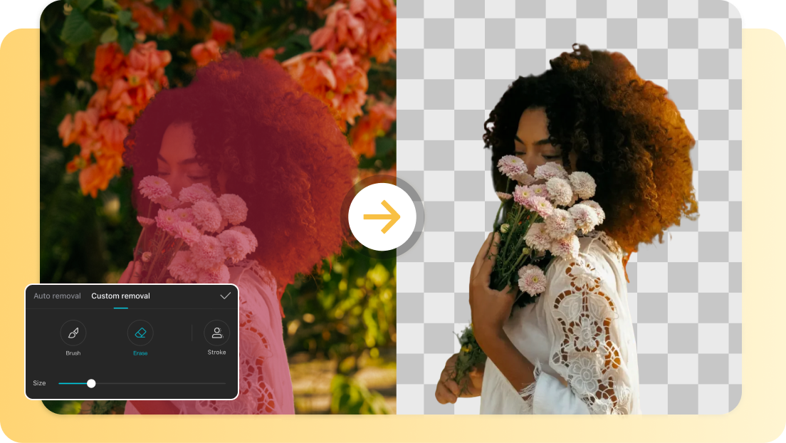 Manual selection and chroma key tools