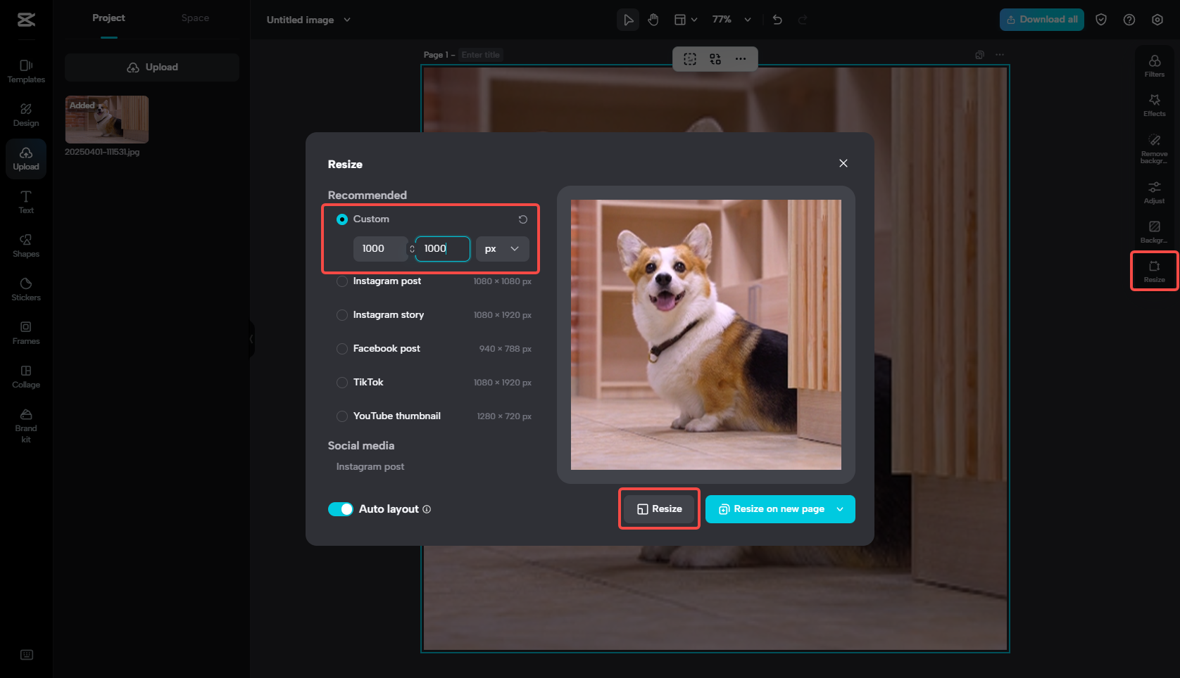 Redimensiona la imagen