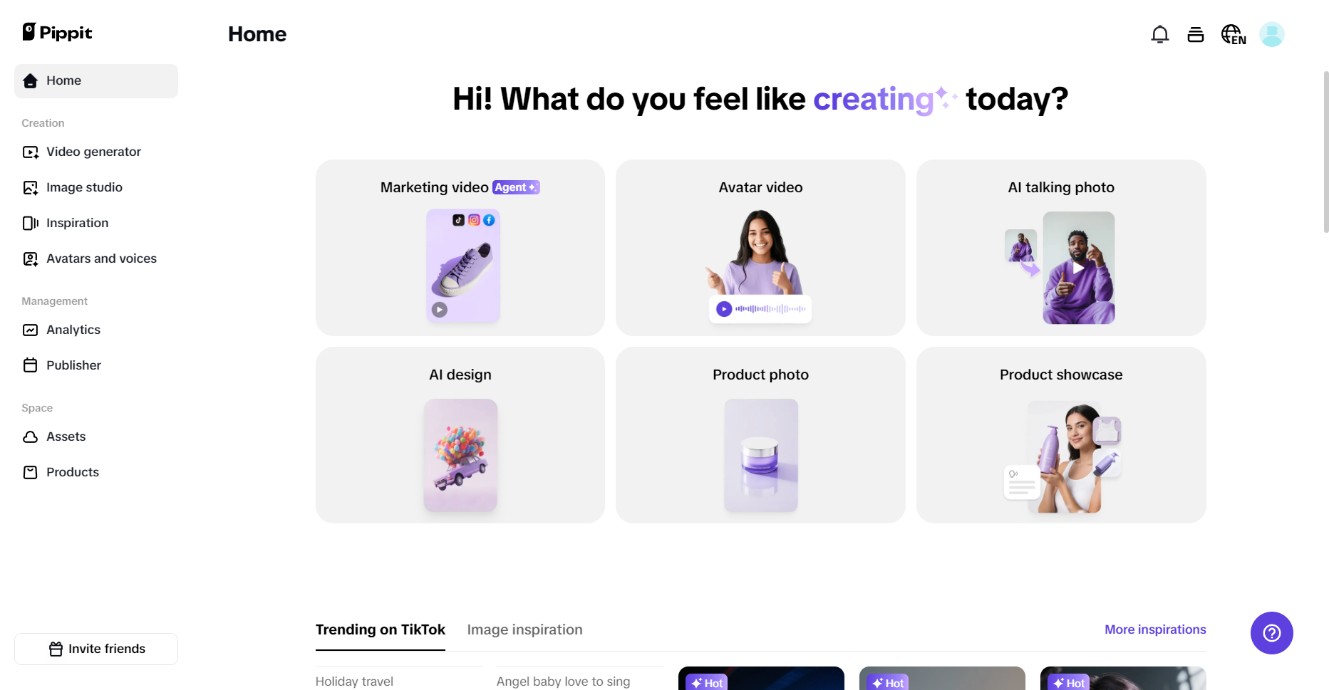 Pippit homepage