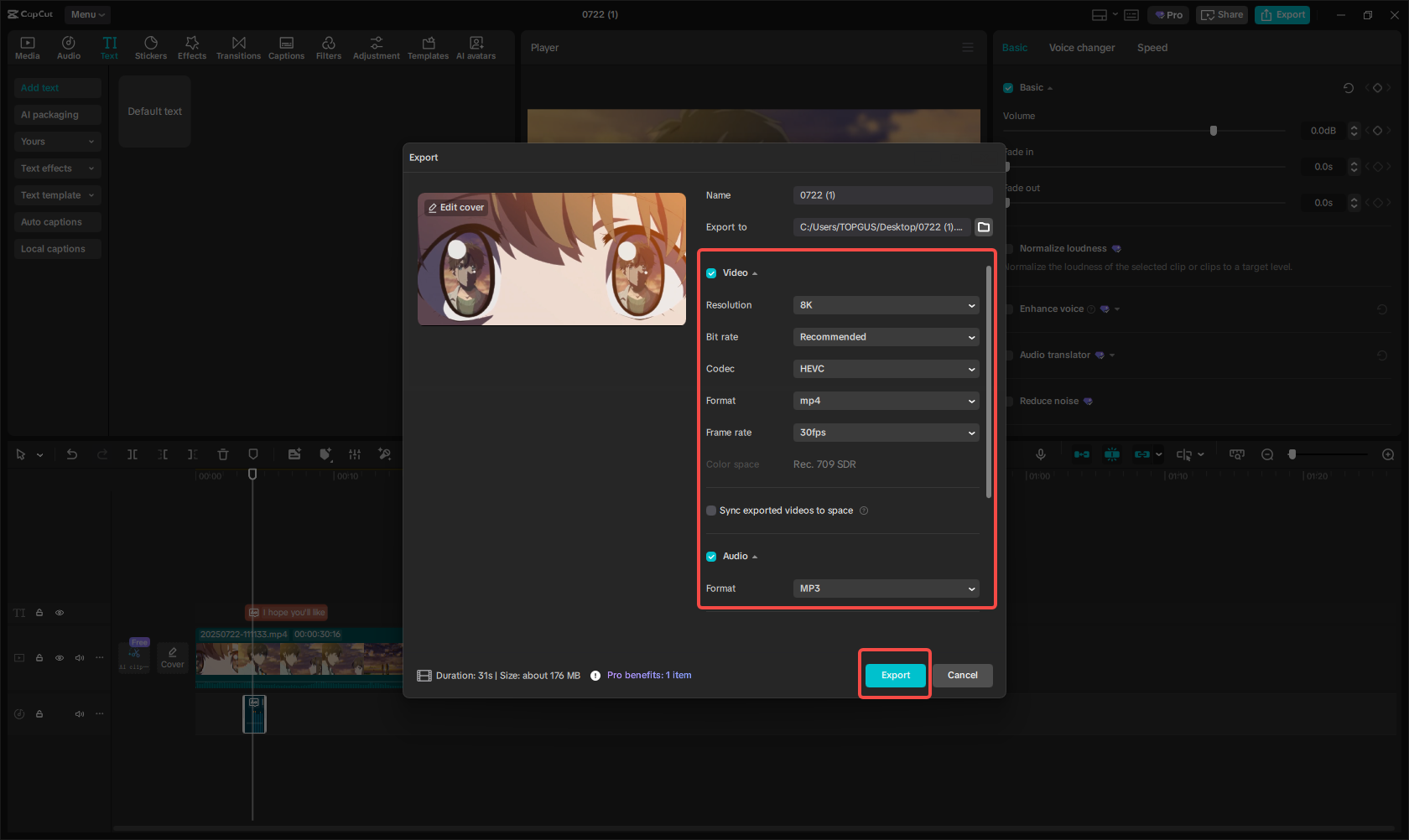 Export the video