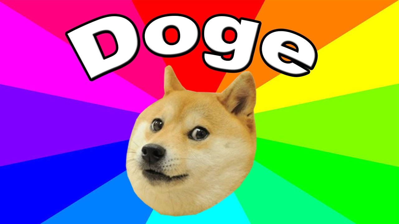 Doge meme