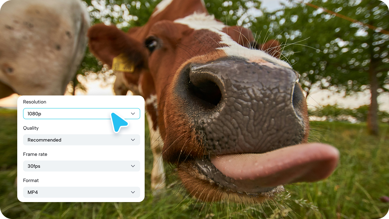 خيارات مشاركة وتصدير متعددة المنصات