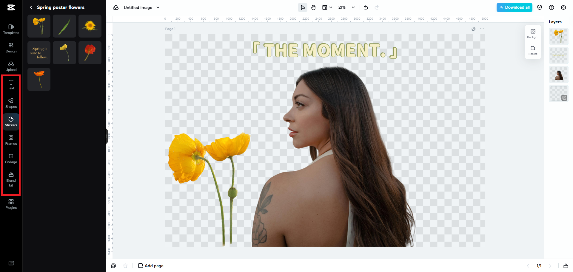 Add various elements to your removed background