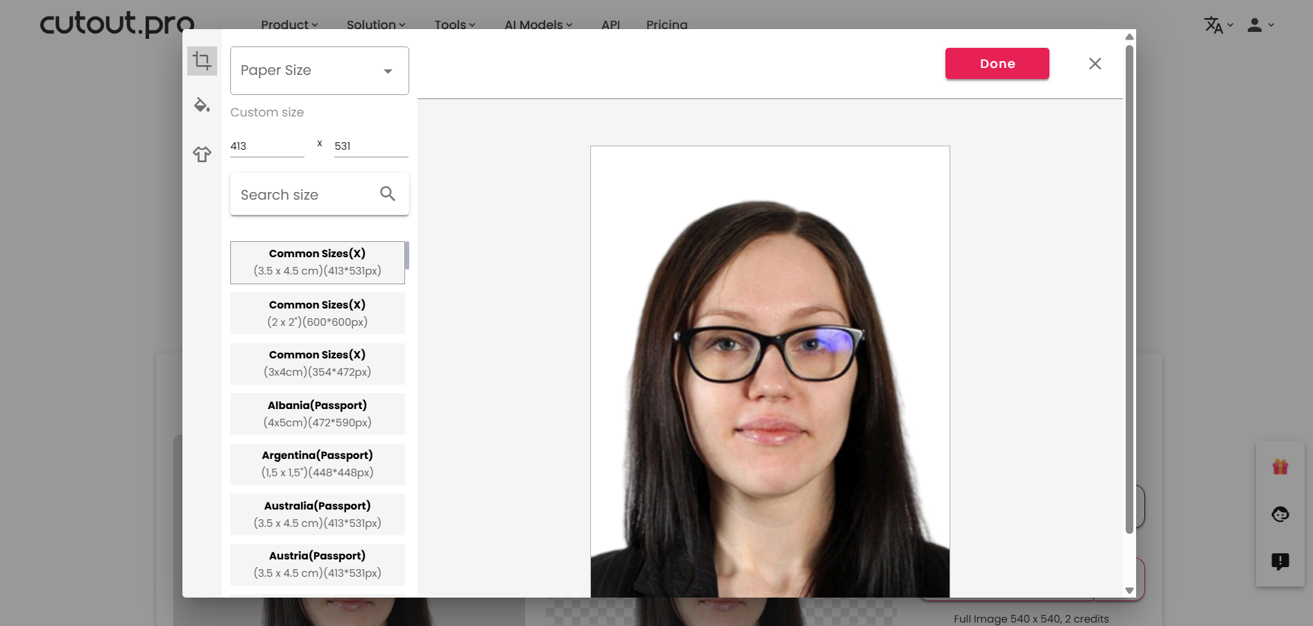 Cutout.Pro interface