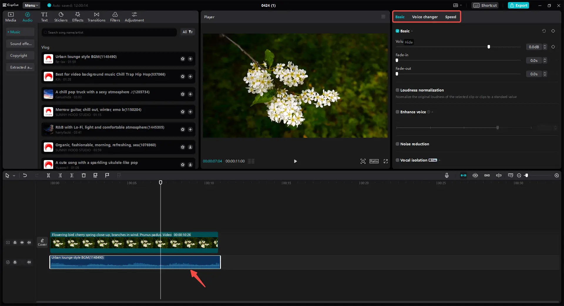 Control audio settings and voice effects