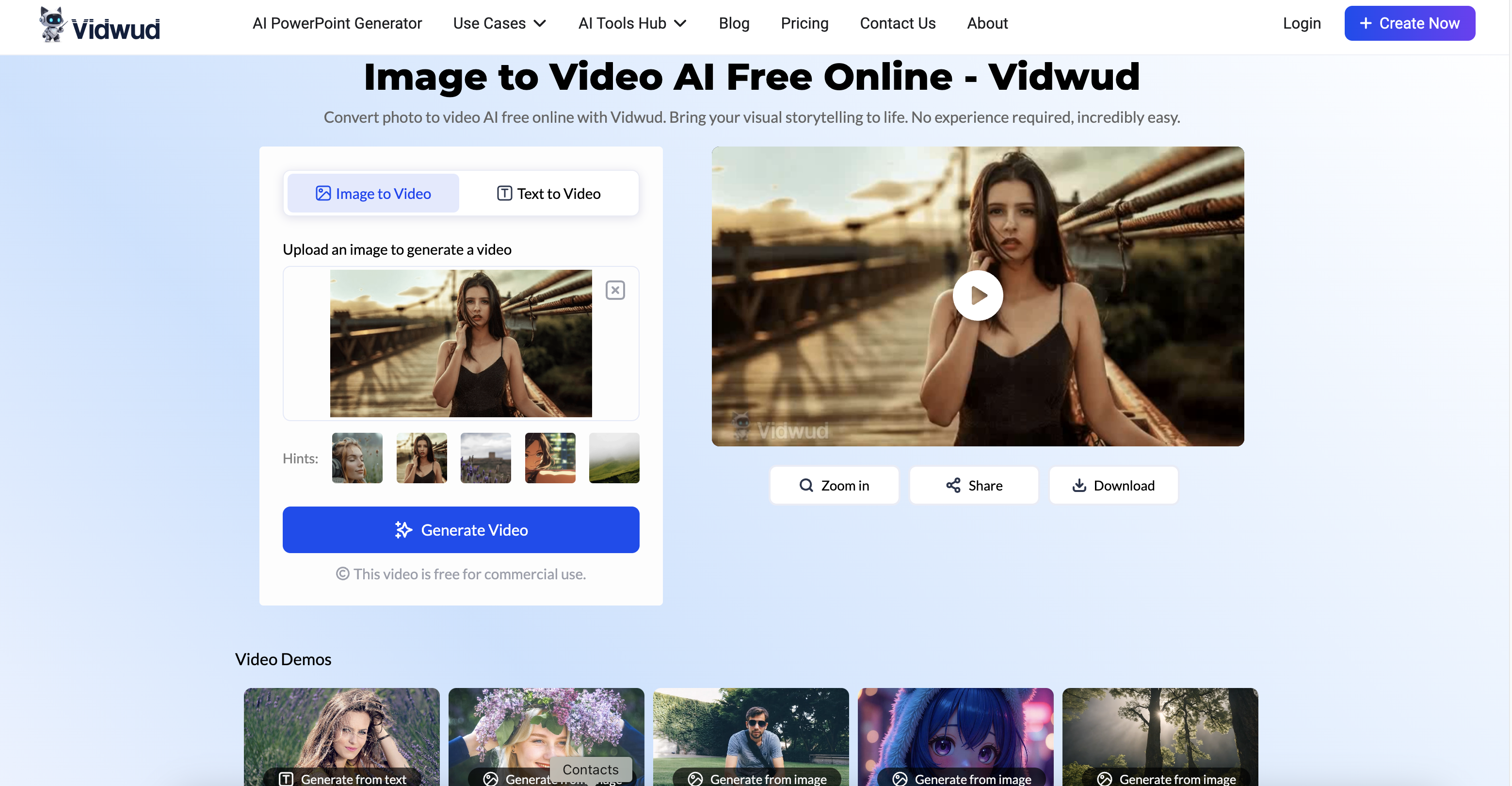 Vidwud interface