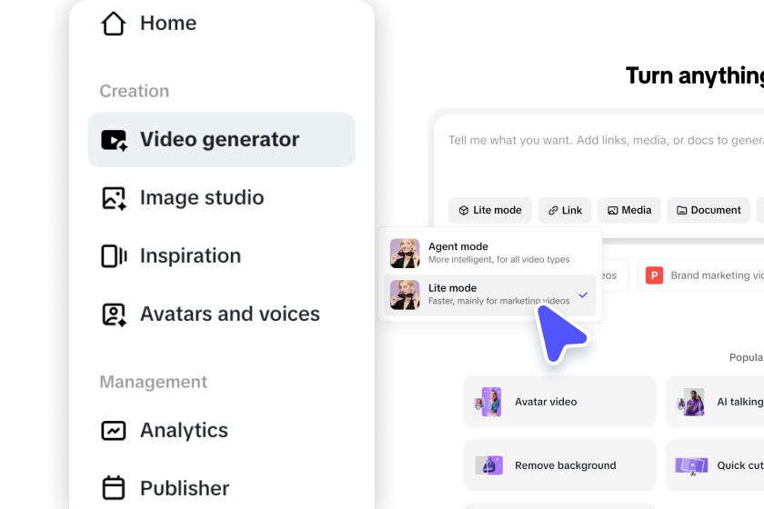 Access video generator