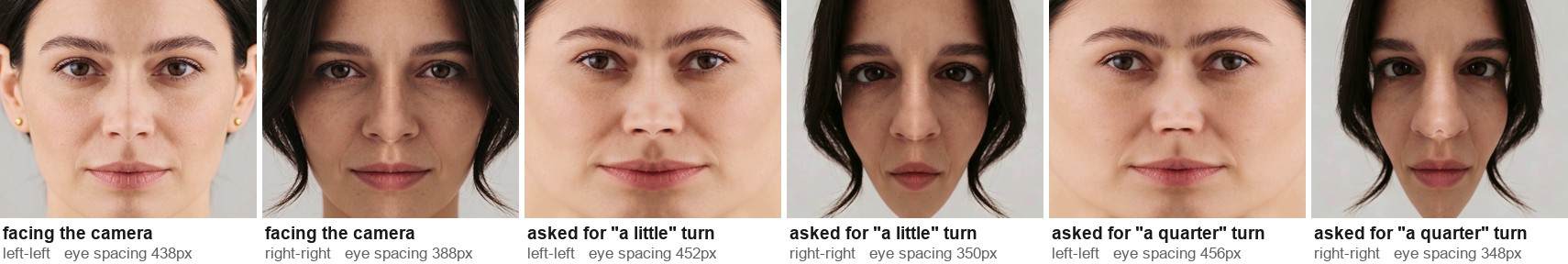 Left-half and right-half mirrored versions for three head positions; the turned heads produce one very wide face and one very narrow face.