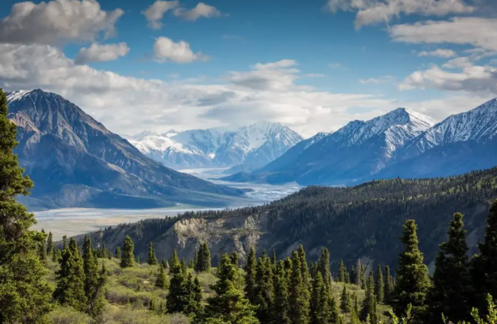 Create atmospheric perspective in photography-Forest scenes