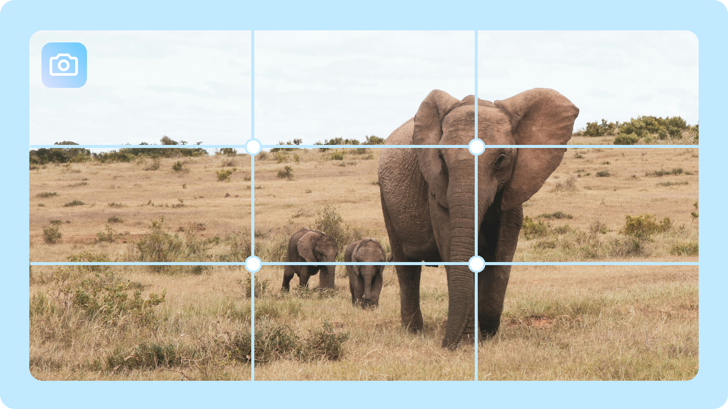 Drittelregel in der Fotografie: Verbessern Sie Ihre Fotos sofort