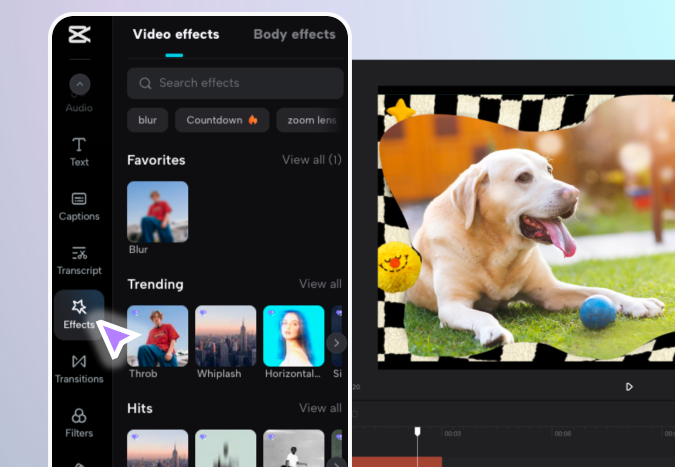 Apply Cute Filters & Effects