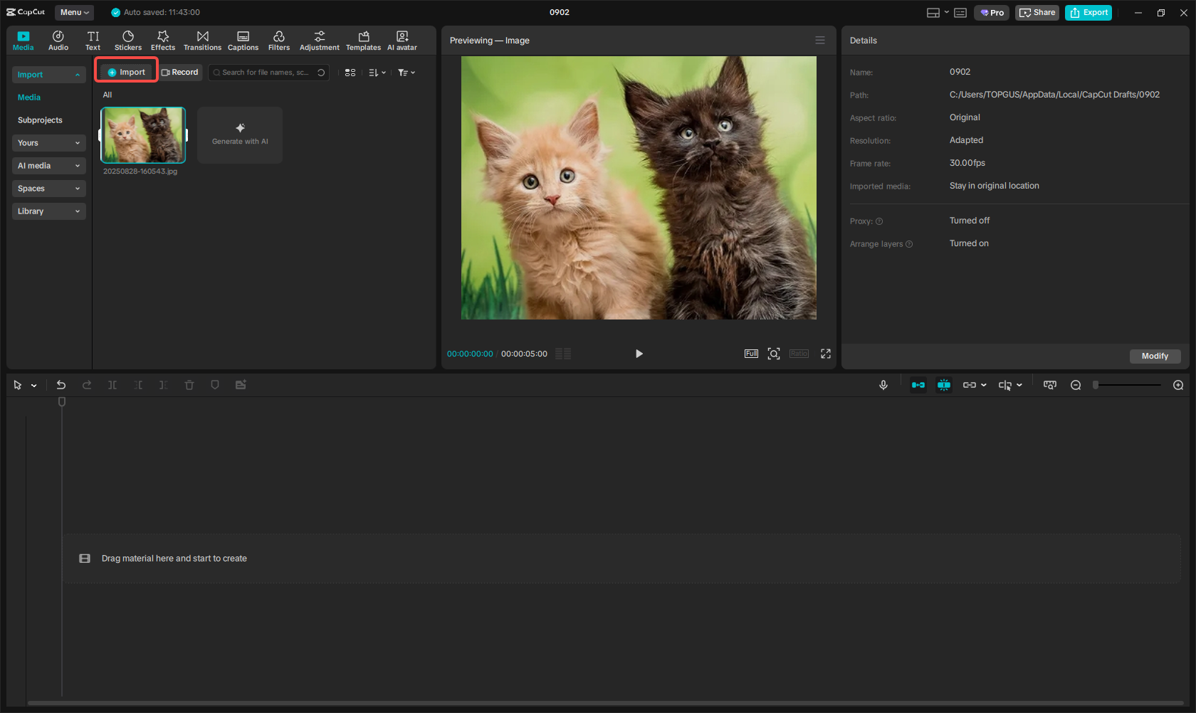 Import the image to CapCut