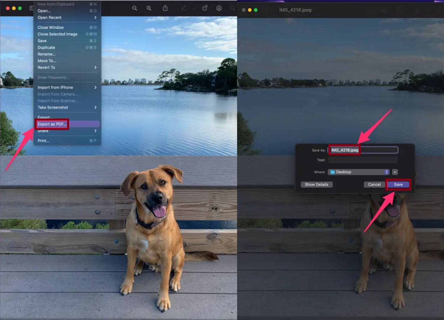 change a picture to a pdf file for mac