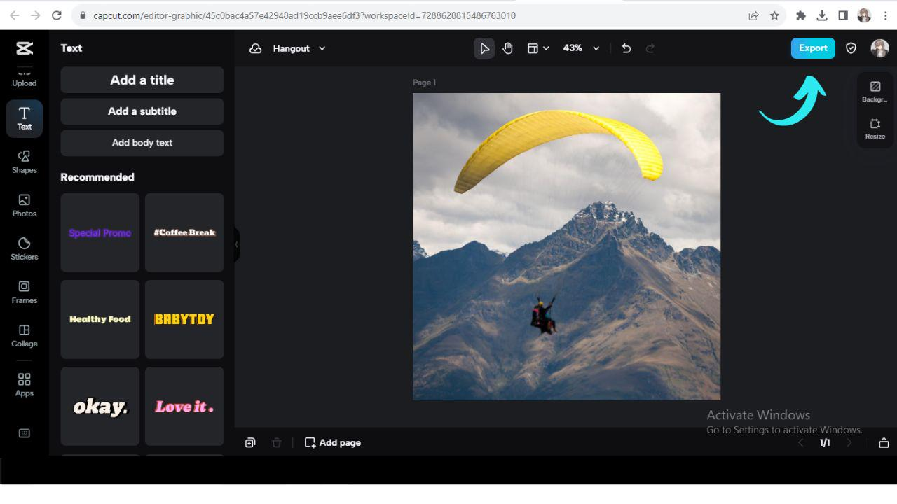 export and download