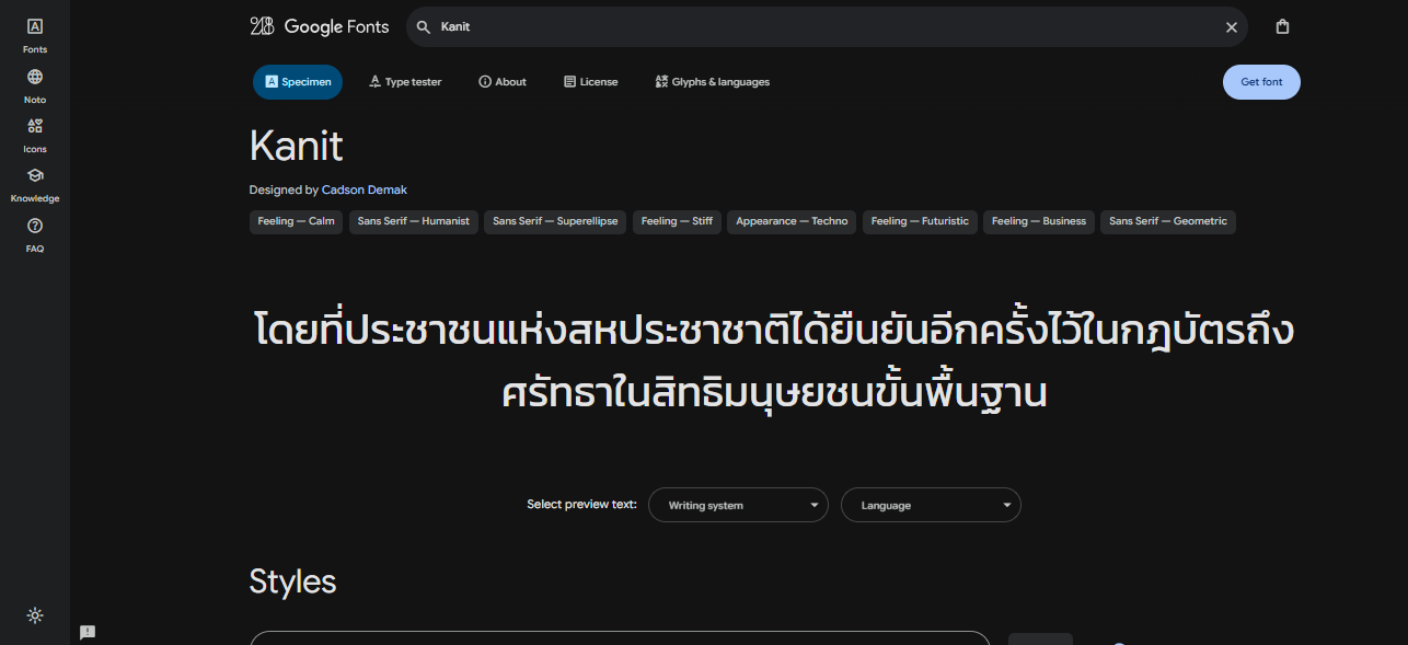 Google Fonts
