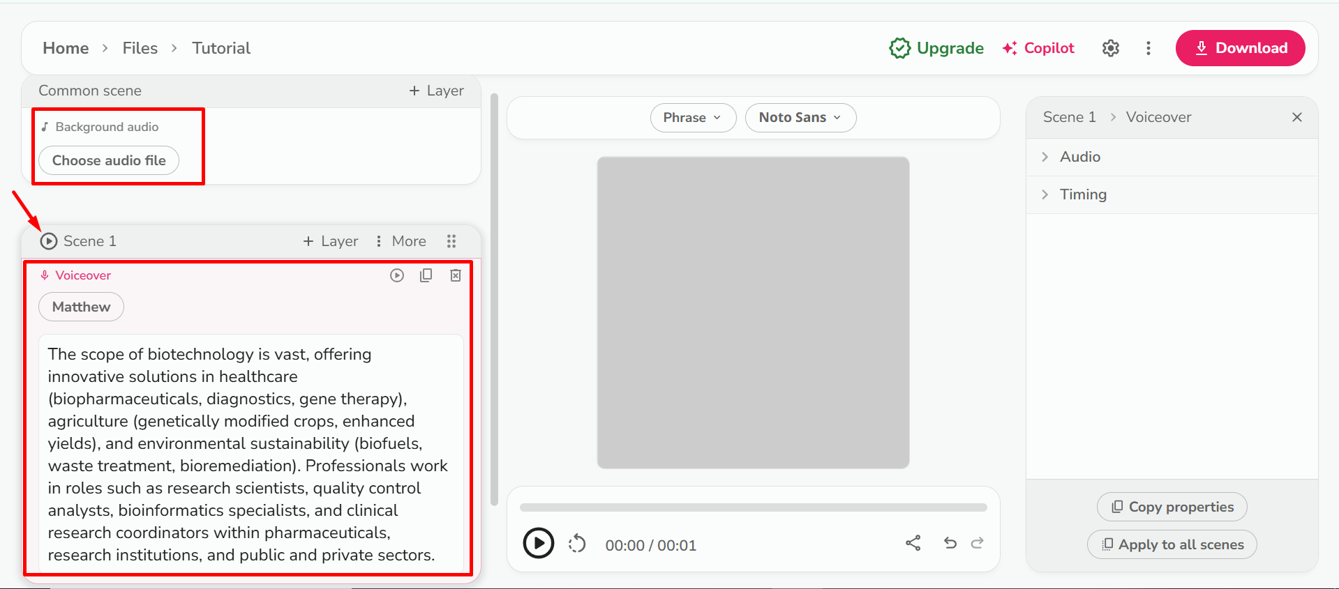 Vkládání skriptu do Fliki text-to-word