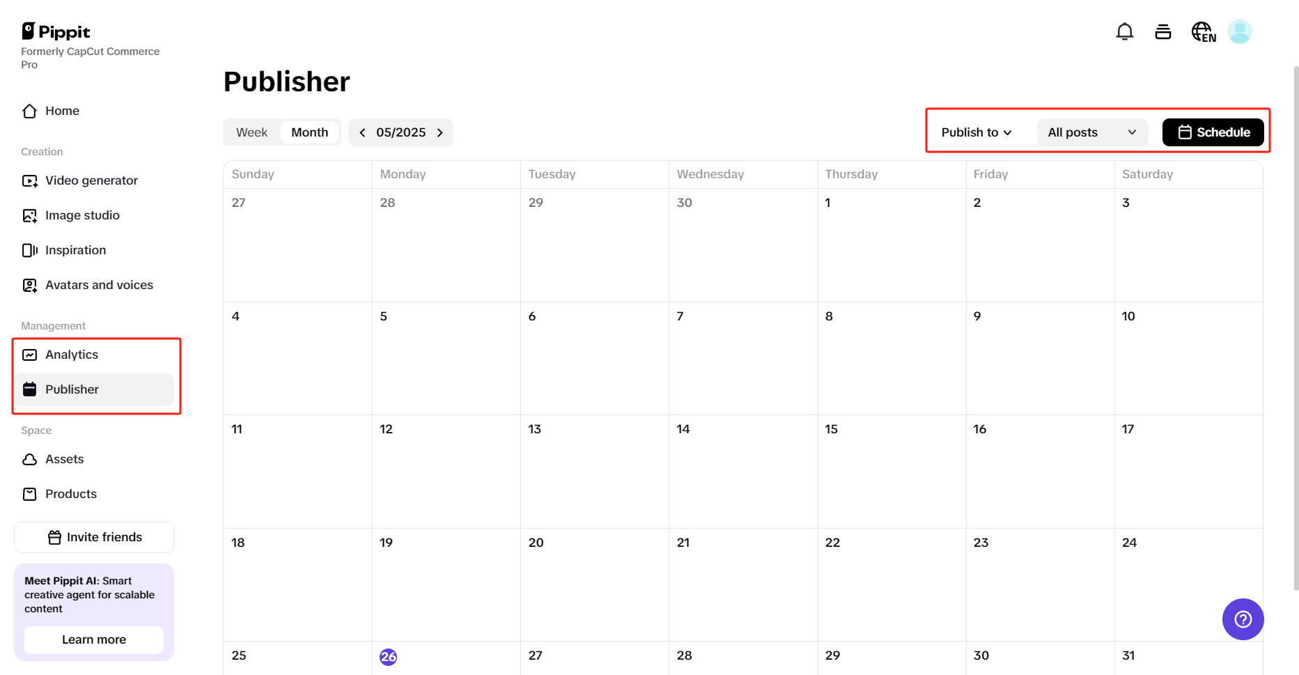 Auto publisher in Pippit
