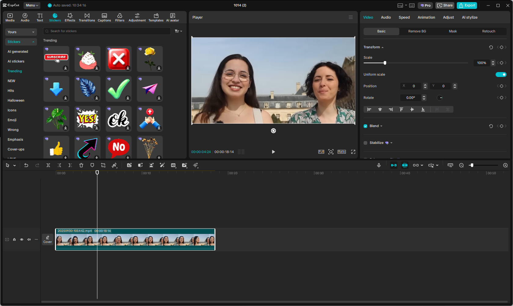 CapCut Standard version