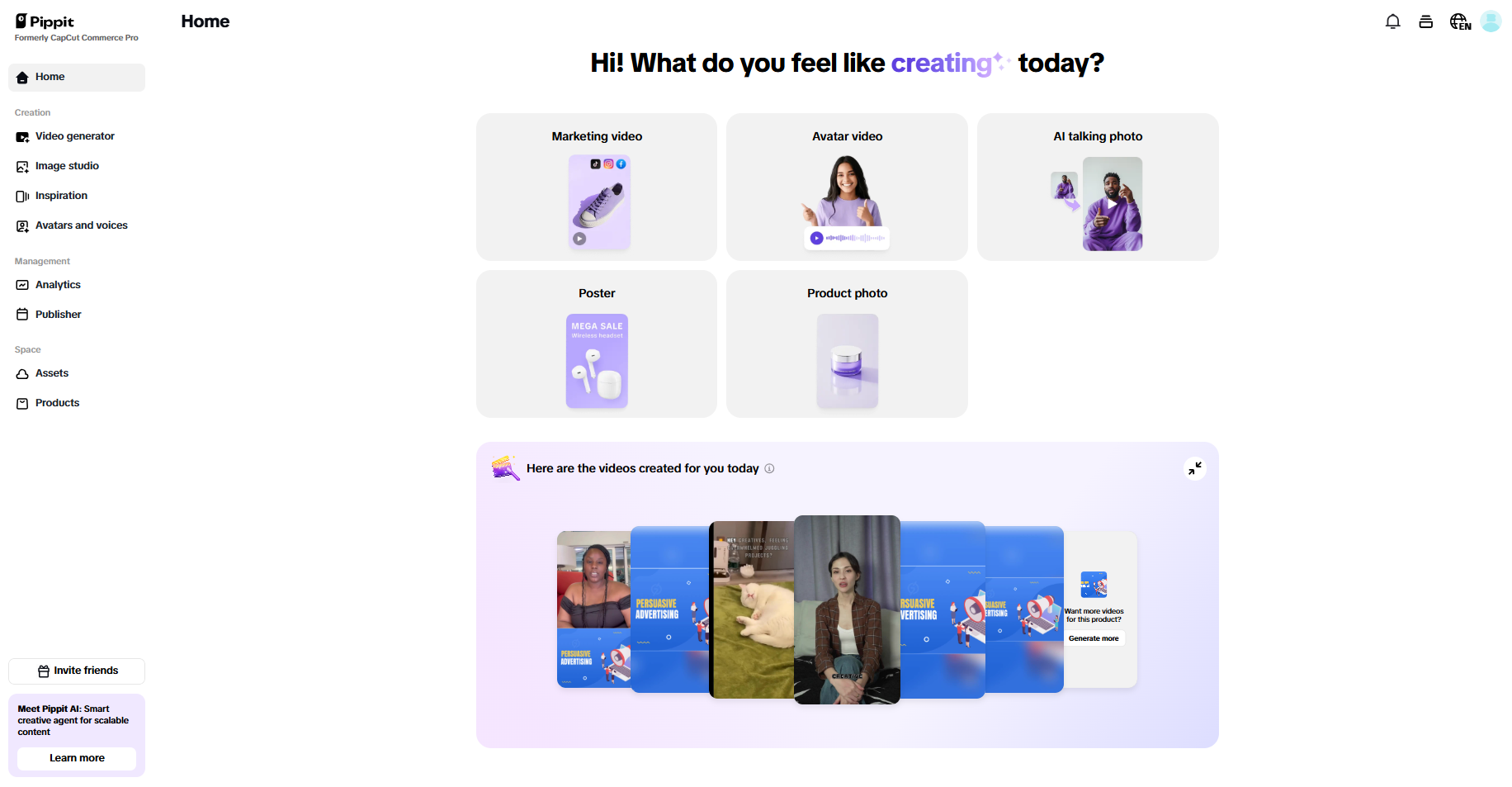 Pippit homepage