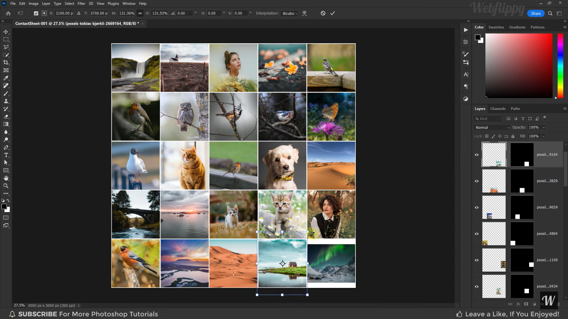 Photoshop - the best photo montage software