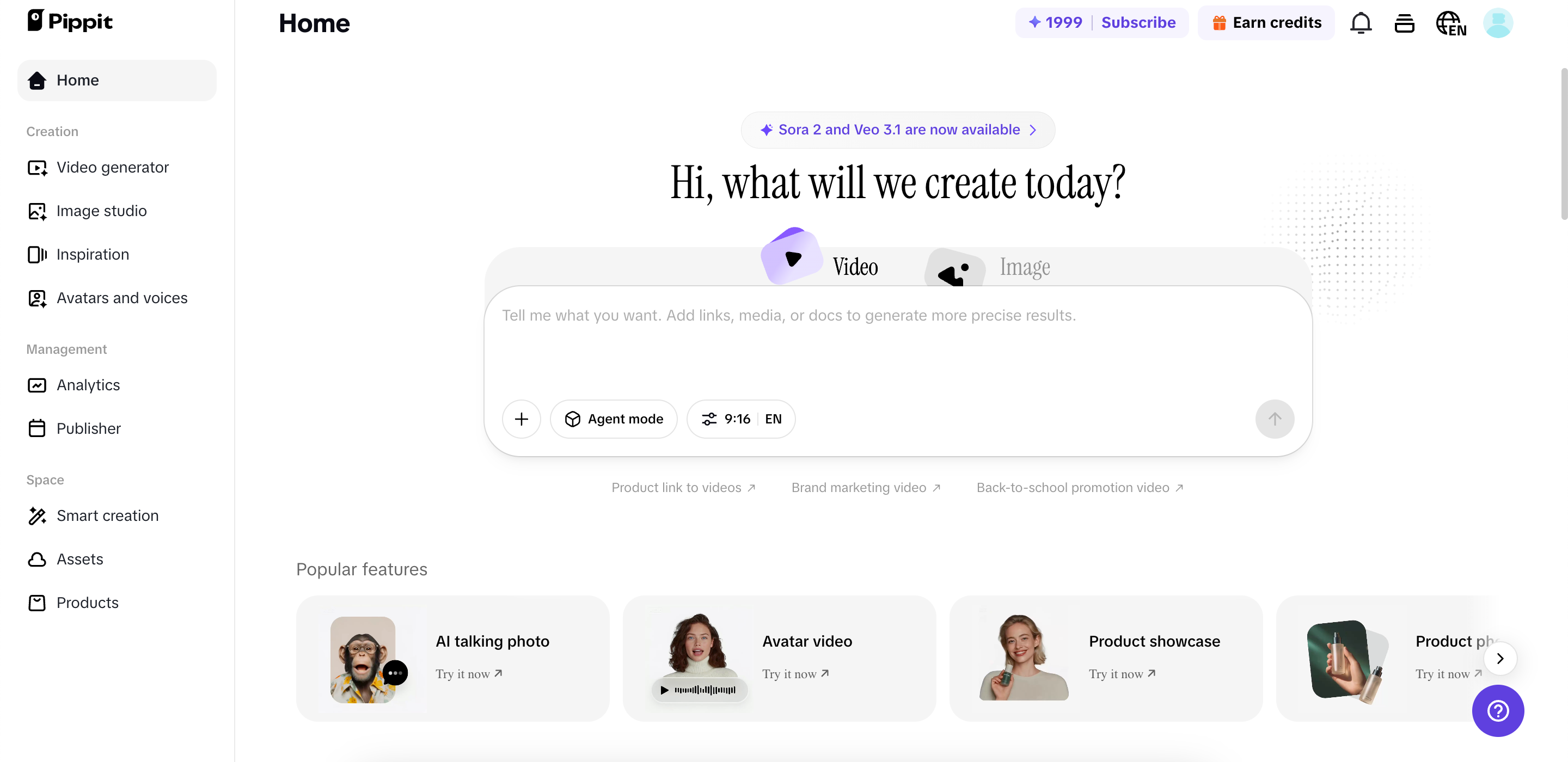 Pippit interface