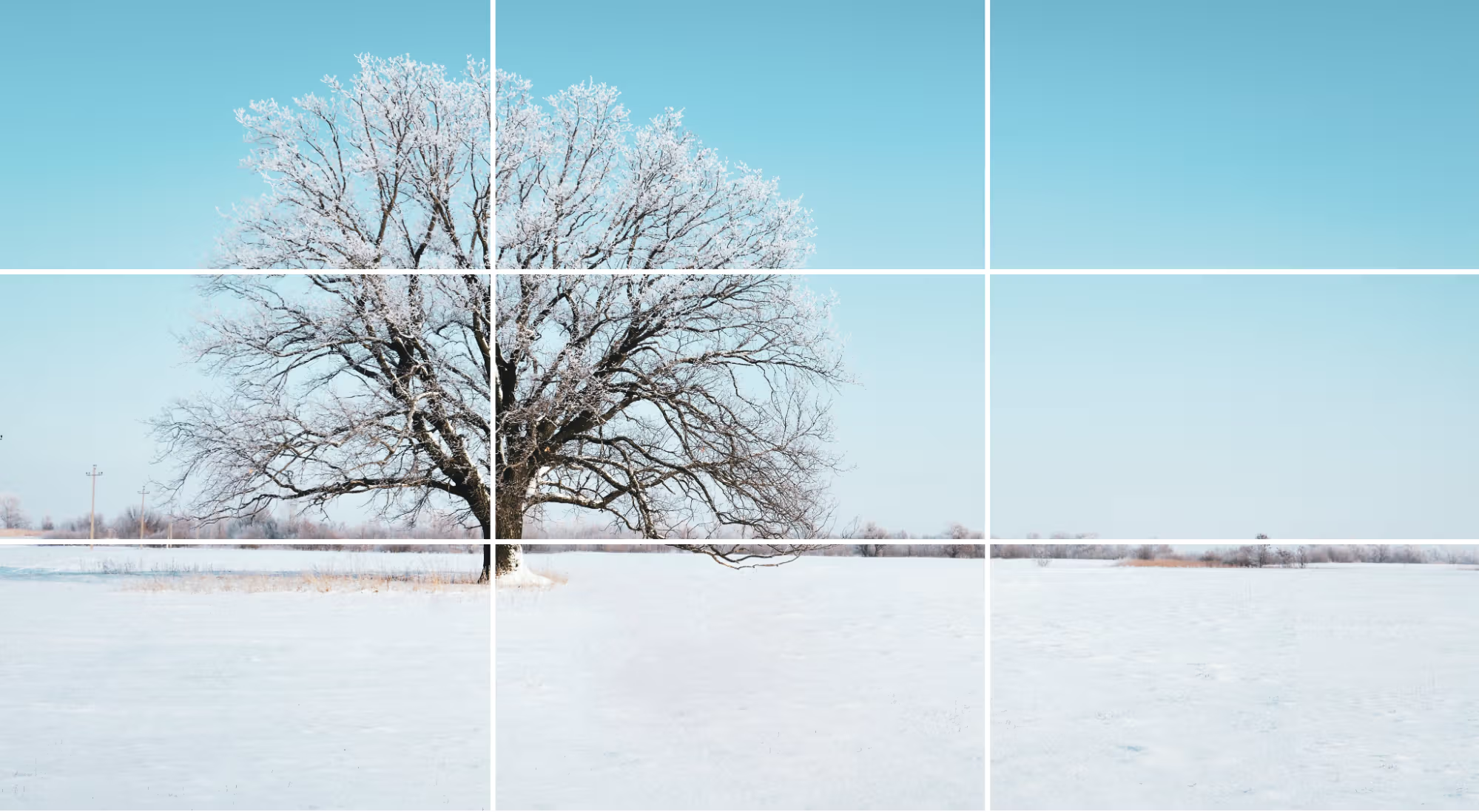 Landscape with a single subject