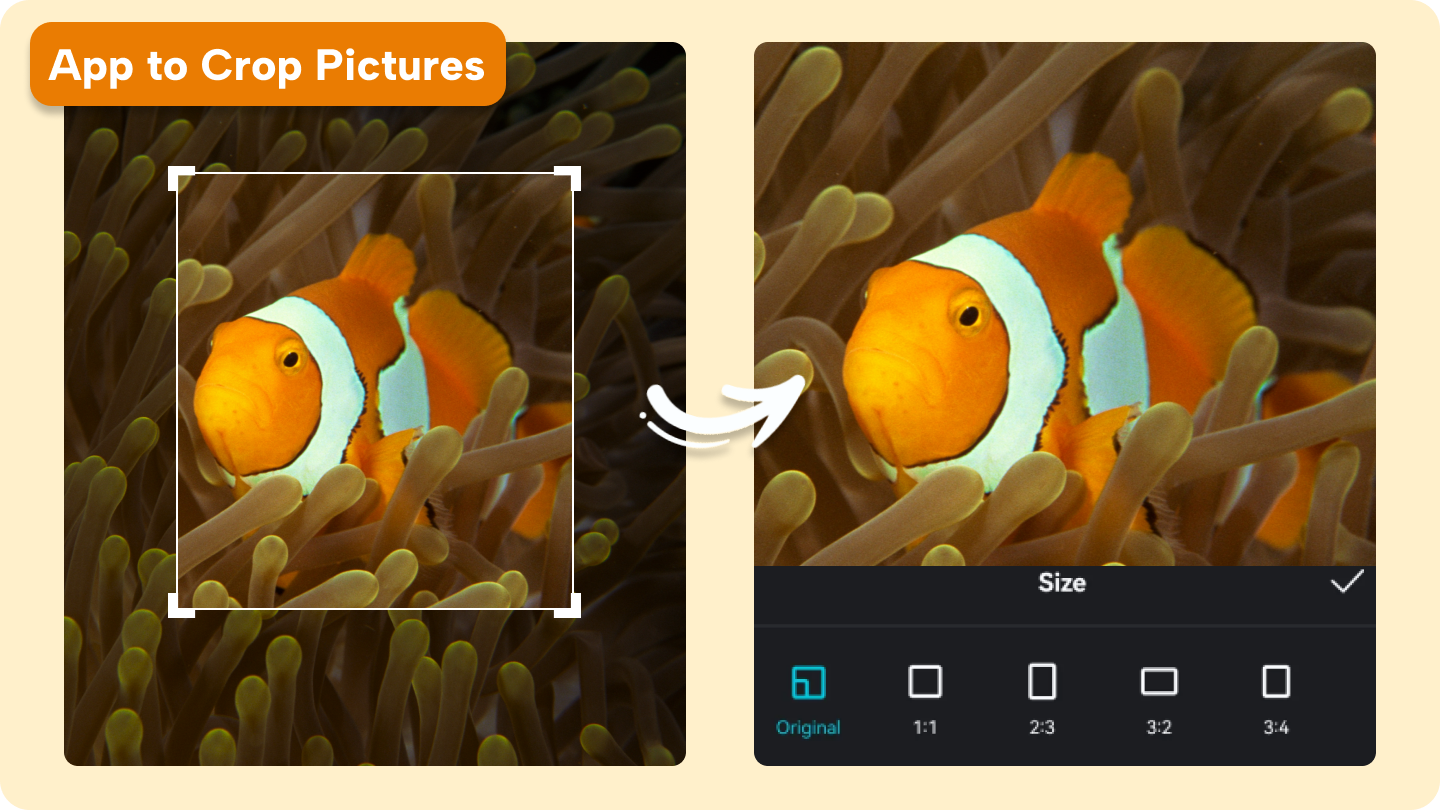 App om foto's bij te snijden