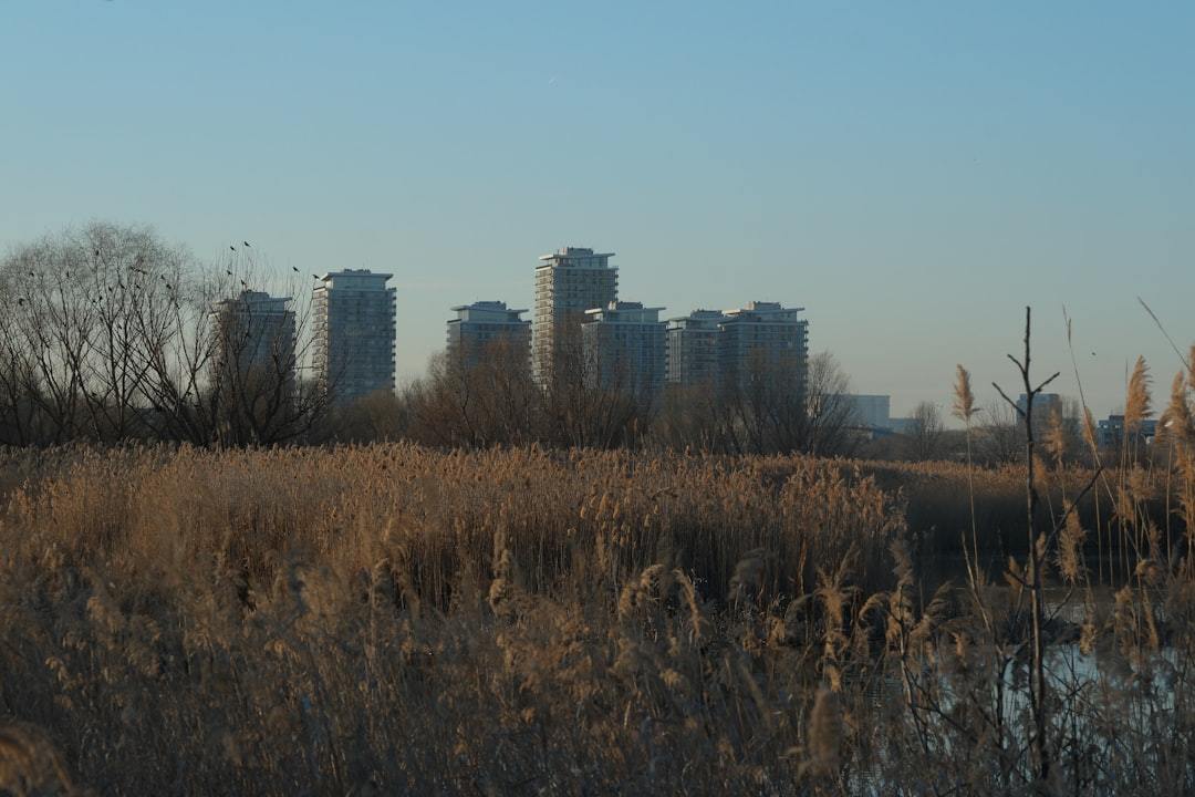 Subtle city skyline with shallow depth of field