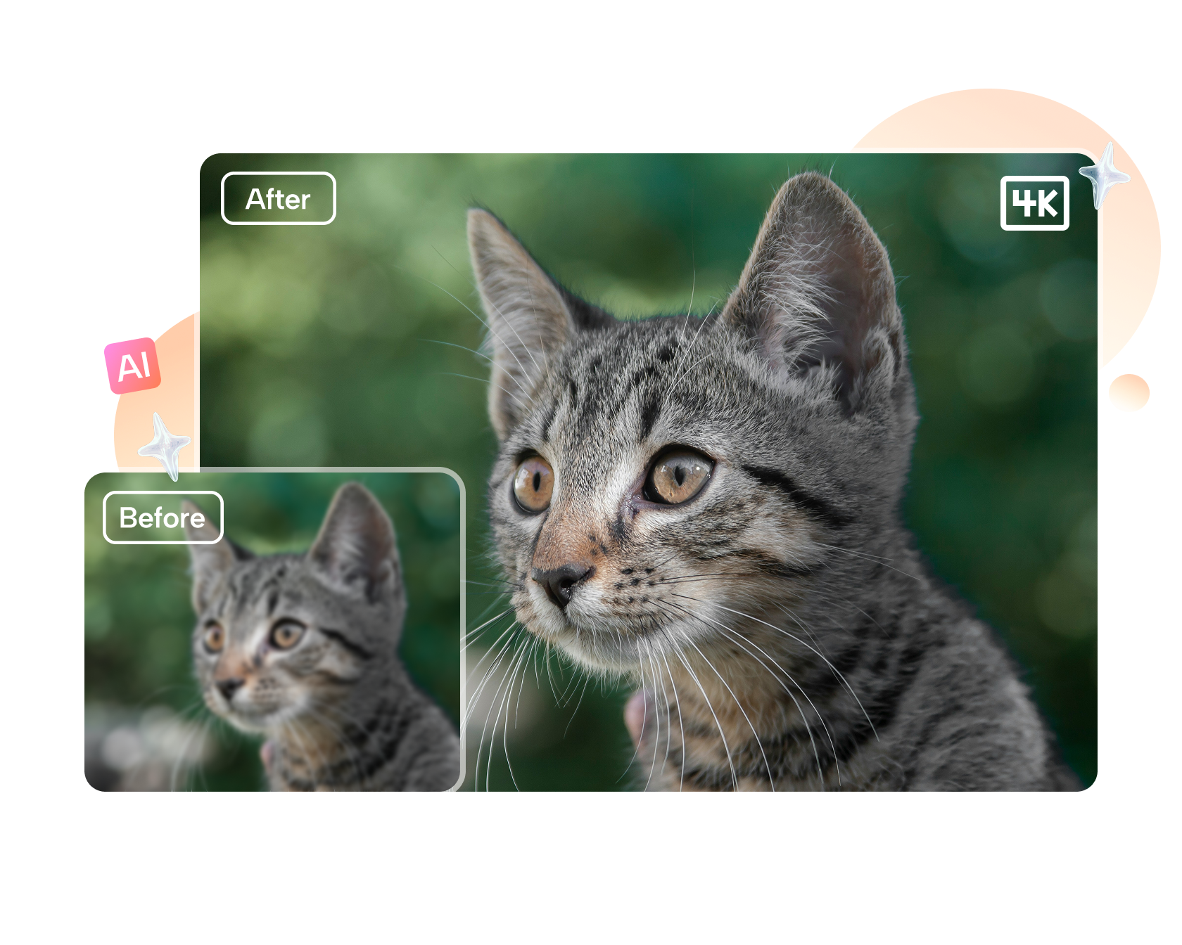 Convertidor de fotos HD gratis en línea