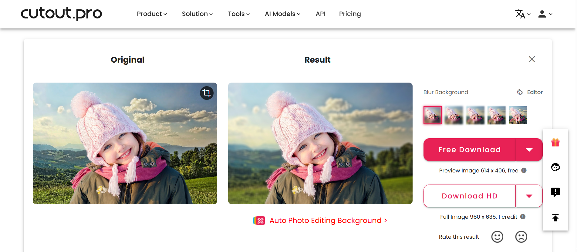 Cutout.Pro - online picture editor to blur the background