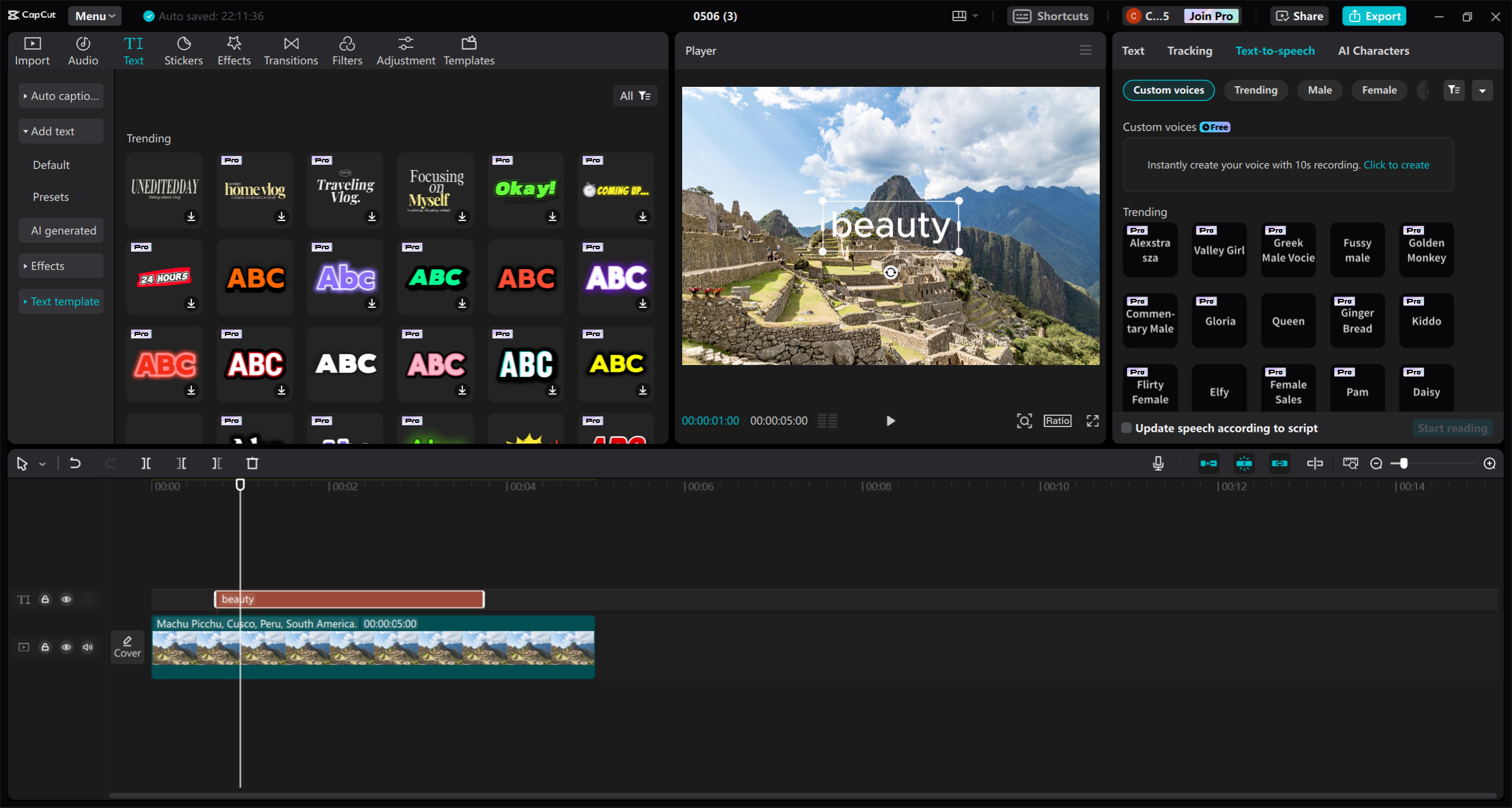 CapCut video editor interface showing a sunset video being edited.