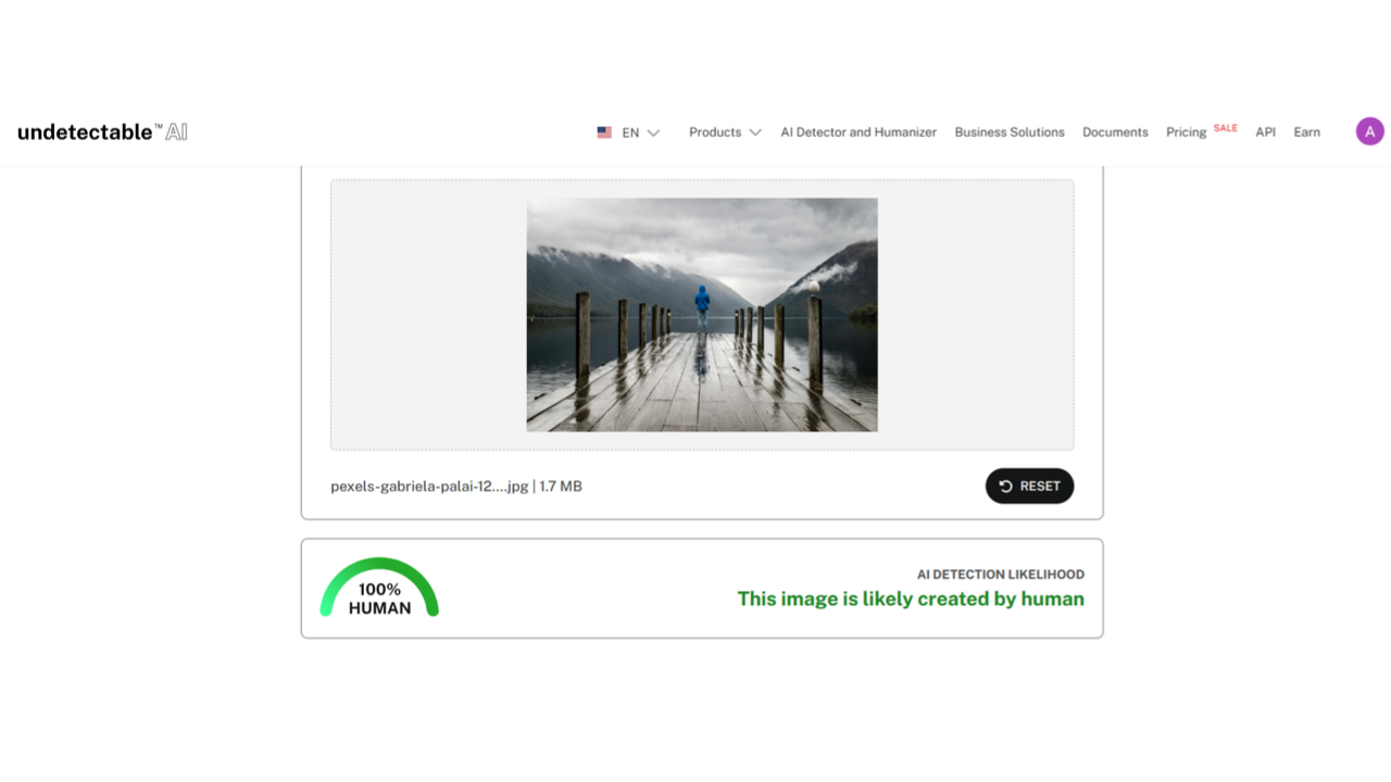 Undetectable AI interface