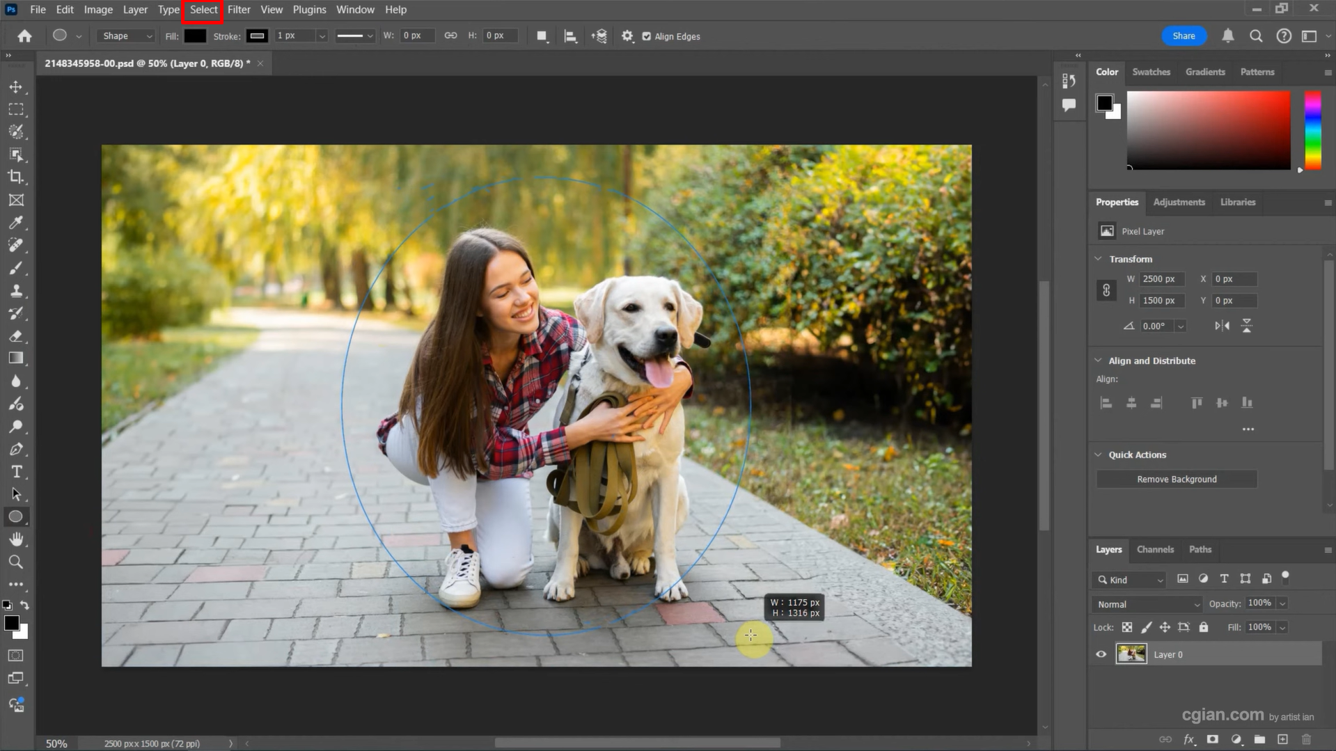 Using the ellipse tool in Photoshop