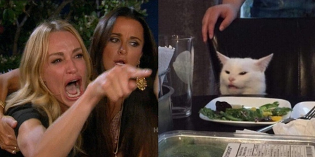 Women yelling at a cat meme