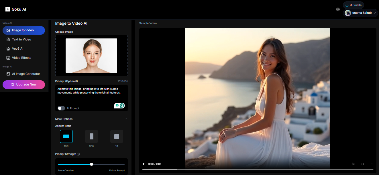 Adjust the video generation settings