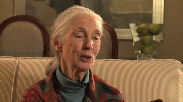 A frame from the exported 16:9 interview fine cut retaining the source composition