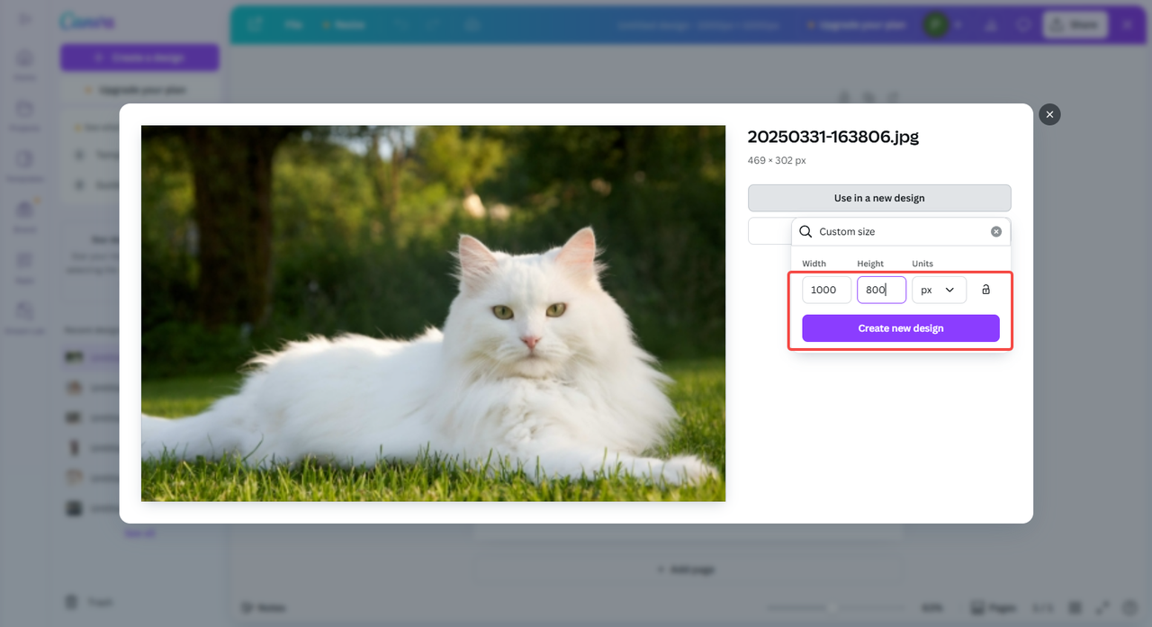 Seleccione un tamaño personalizado y bloquee la relación de aspecto