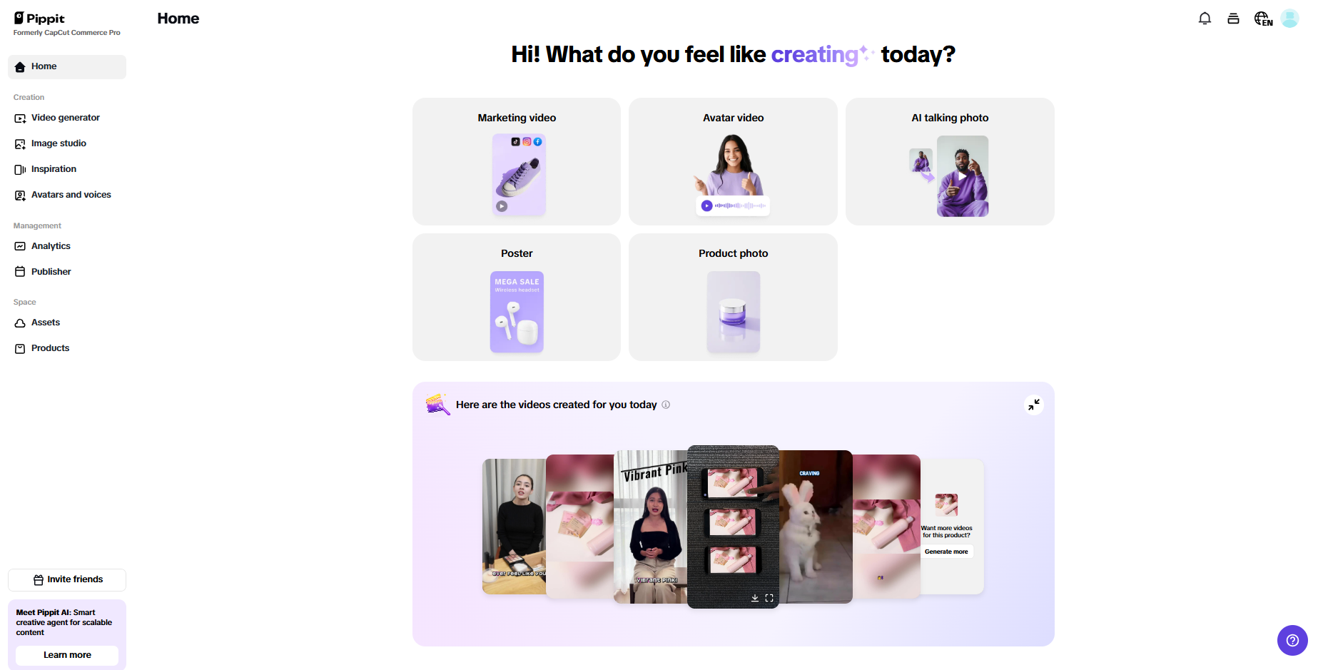 Pippit interface