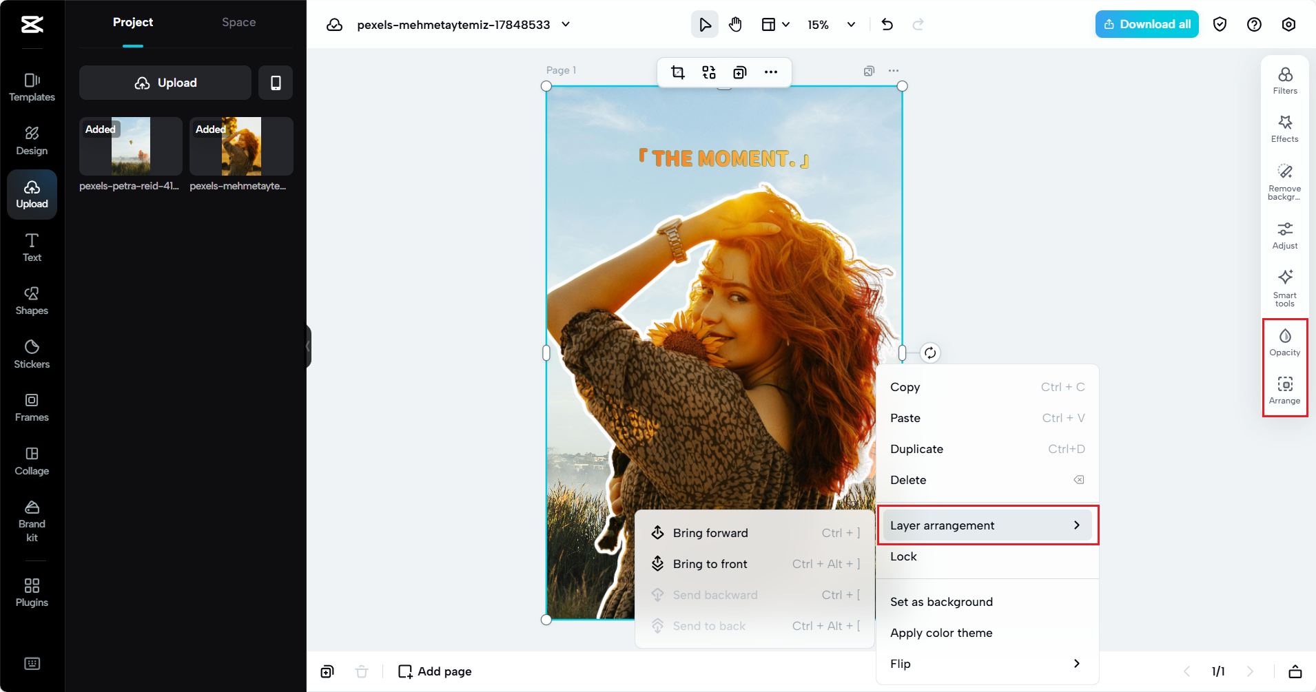 Nehmen Sie weitere Bearbeitungen an Ihrem Bild vor