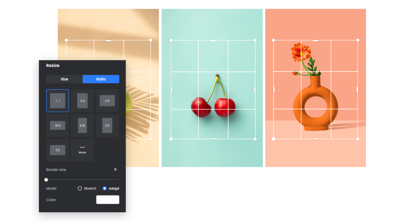 Features to look for in a good resizer