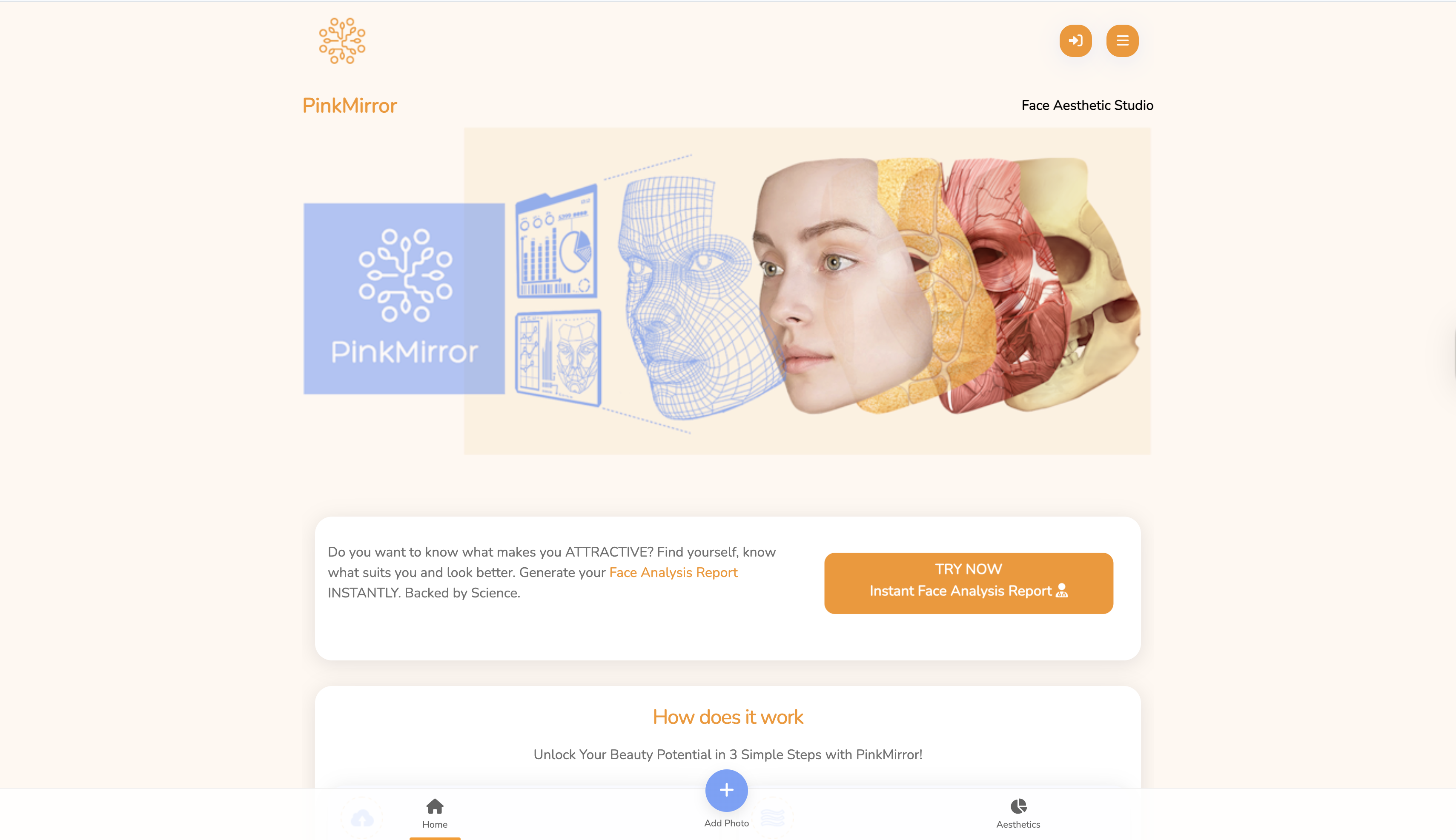 PinkMirror interface