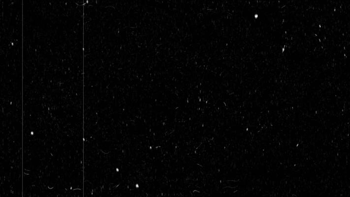 A free 4K film grain noise overlay for high-quality videos