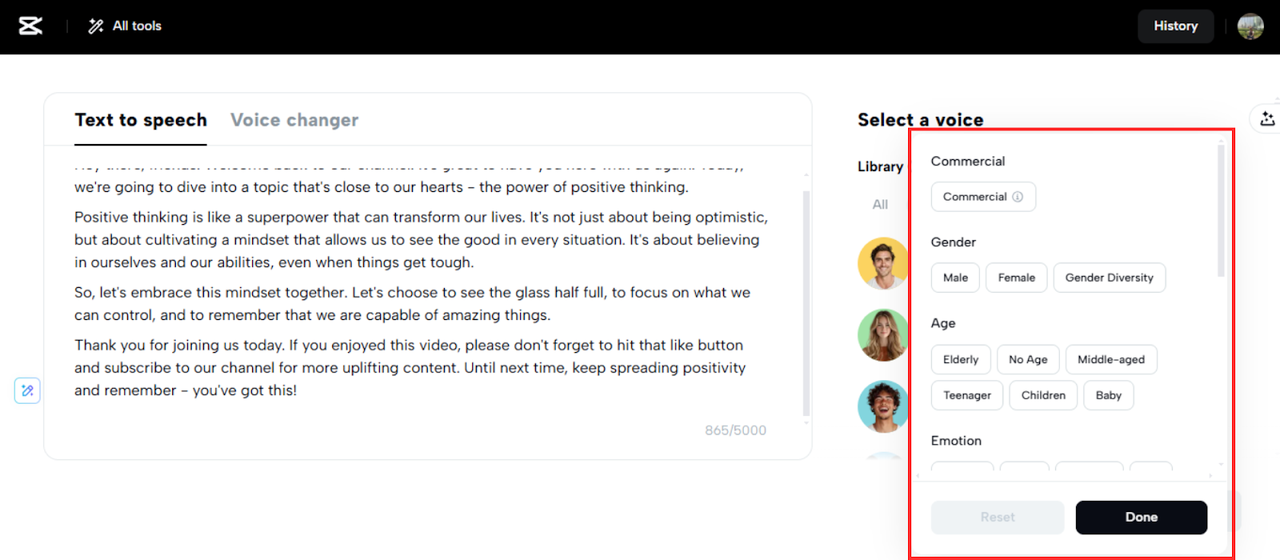 Select a voice option