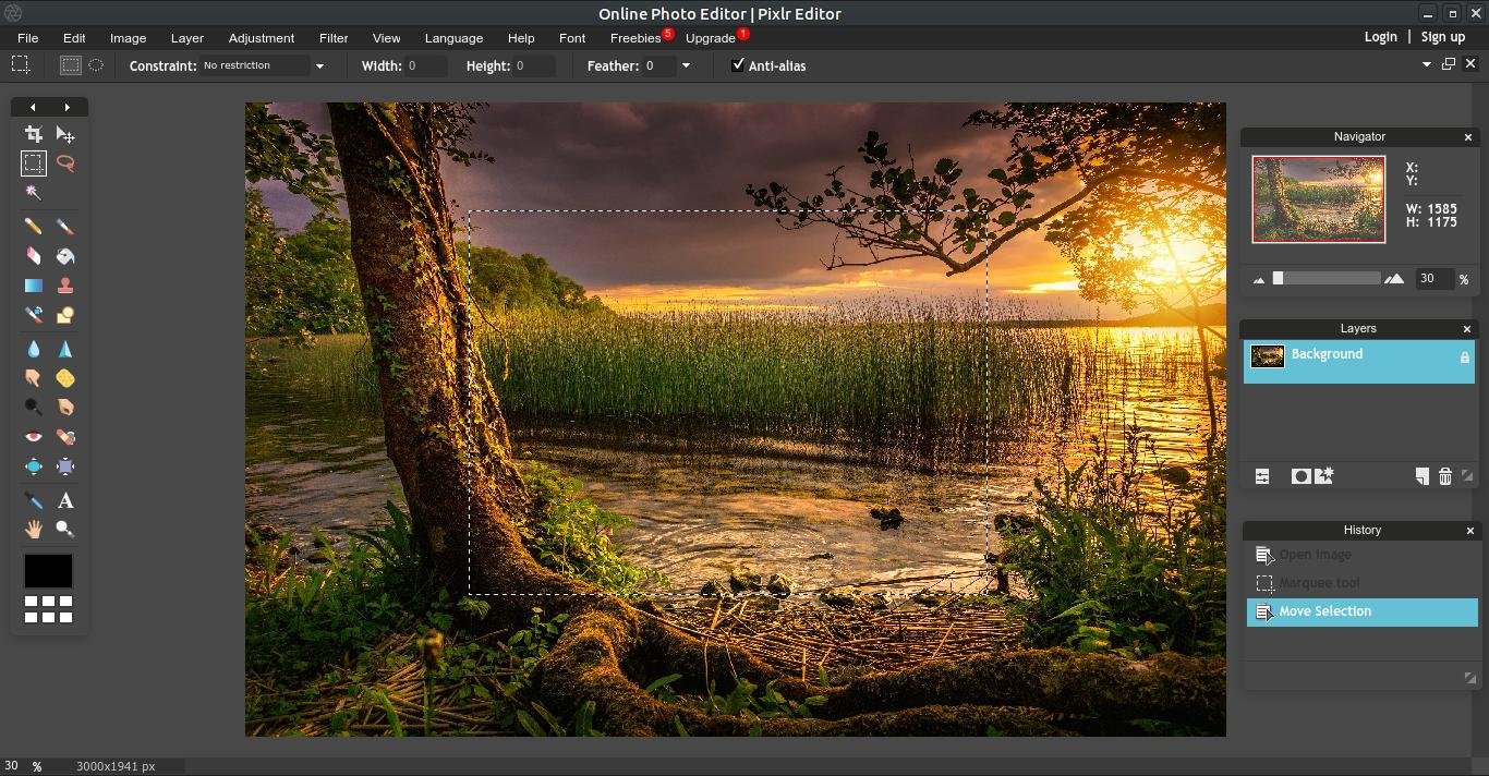 Interface of Pixlr - a user-friendly Photoshop alternative
