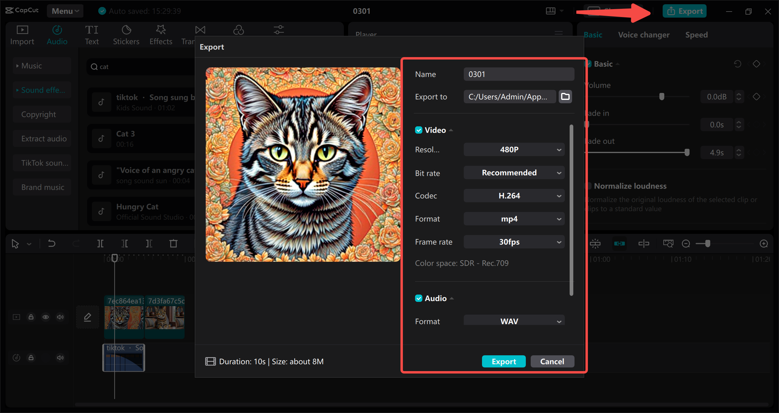 Export video