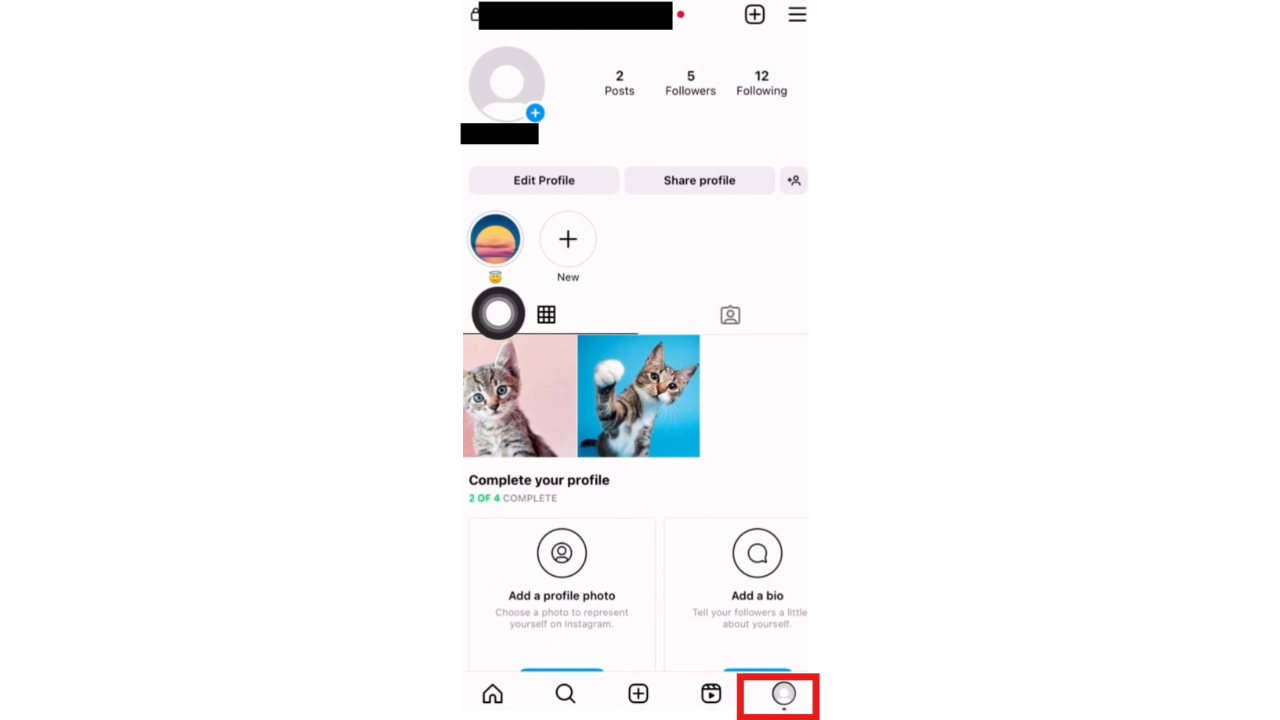 Navigate to Instagram profile